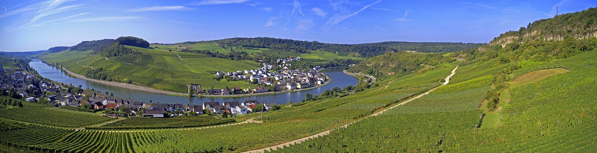 Blick auf das Moseltal und Luxemburg mit Weinbergen und Kalkfelsen