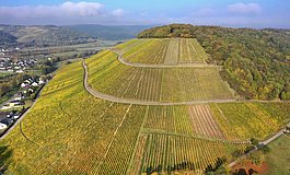 Blick auf die Ayler Kupp, berühmte Weinlage nahe Saarburg 