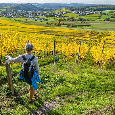 Foto: Karlskopf-Panoramaweg (4)