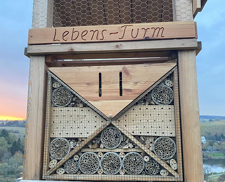 Lebensturm (3)