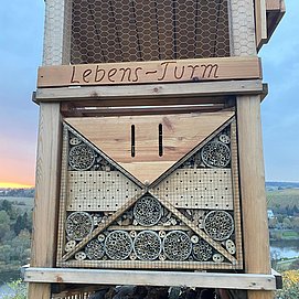 Lebensturm (3)