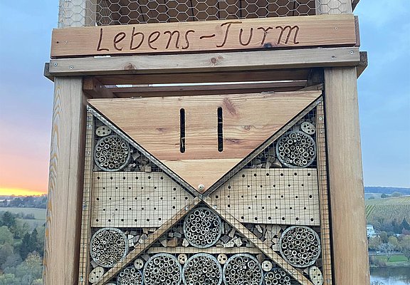 Lebensturm (3)