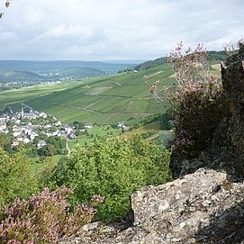 Felsen mit Blick auf Veldenz
