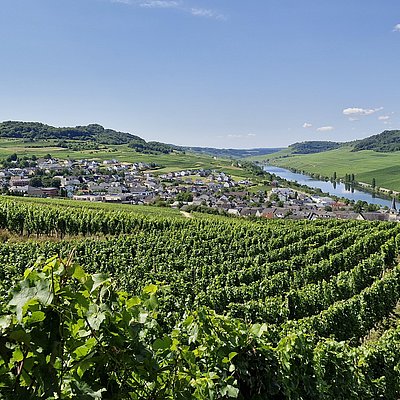 Foto: Blick auf Nittel