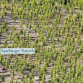 Saarburger Rausch
