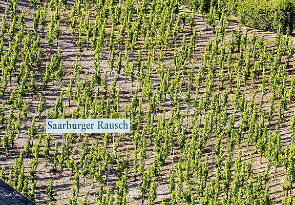 Saarburger Rausch