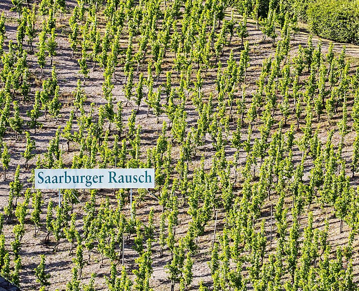 Saarburger Rausch