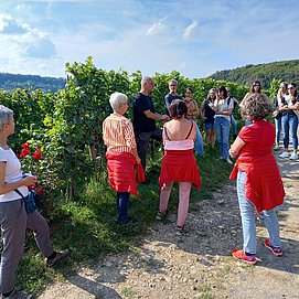 Weingut Karl Sonntag Nittel (8)