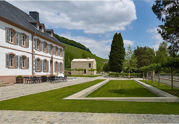 Weingut Cantzheim (3)