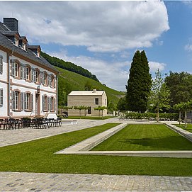 Weingut Cantzheim (3)