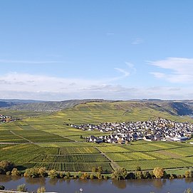 Die Moselschleife zwischen Trittenheim und Leiwen
