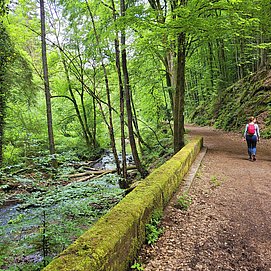 Leukbachtal (2)
