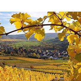 Herbst in Niedermennig
