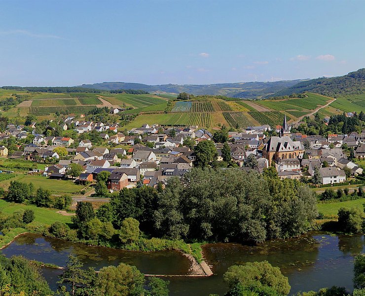 Blick auf Wiltingen