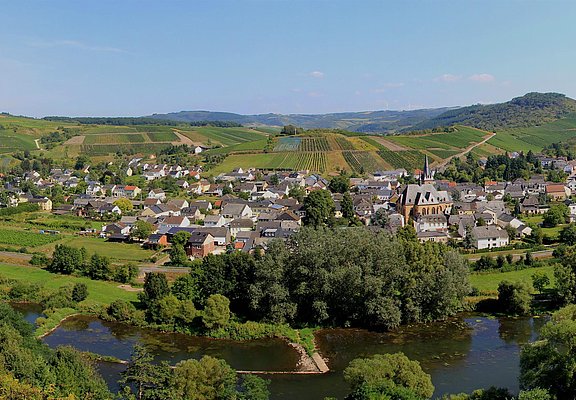 Blick auf Wiltingen