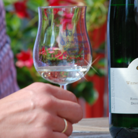 Weingut Schafhausen Kanzem (08)