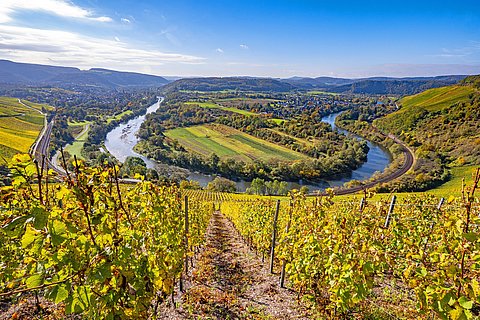 Blick auf Wiltingen