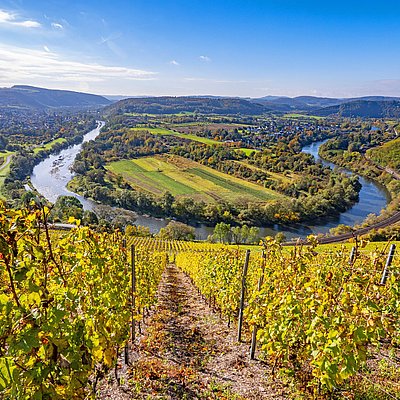 Foto: Blick auf Wiltingen