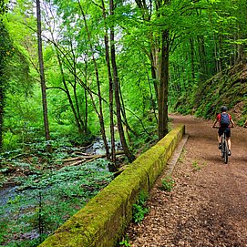 Kollesleuker Schweiz