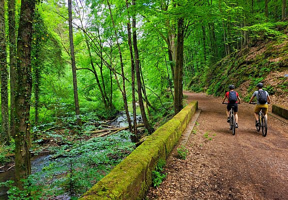 Kollesleuker Schweiz