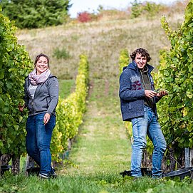 Weingut Stefan Müller (1)