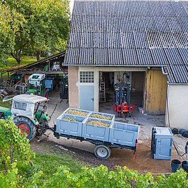 Weingut Stefan Müller (3)