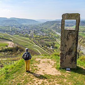Blick auf Wiltingen