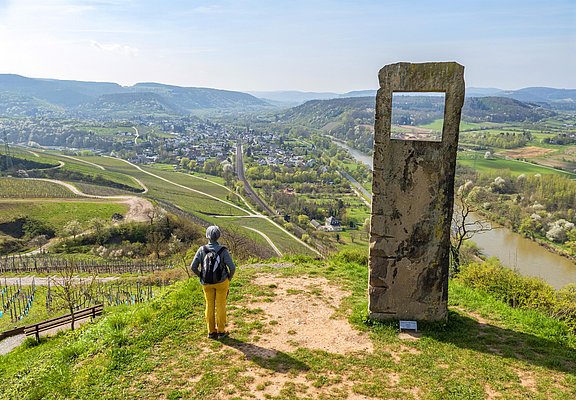 Blick auf Wiltingen