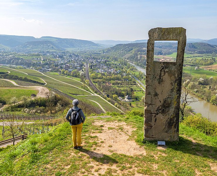 Blick auf Wiltingen