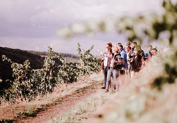 Weinwanderung Weinsein (2)