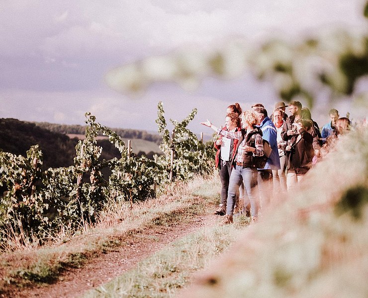 Weinwanderung Weinsein (2)