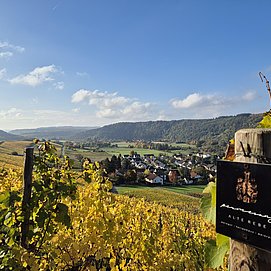 Weingut Permesang (6)
