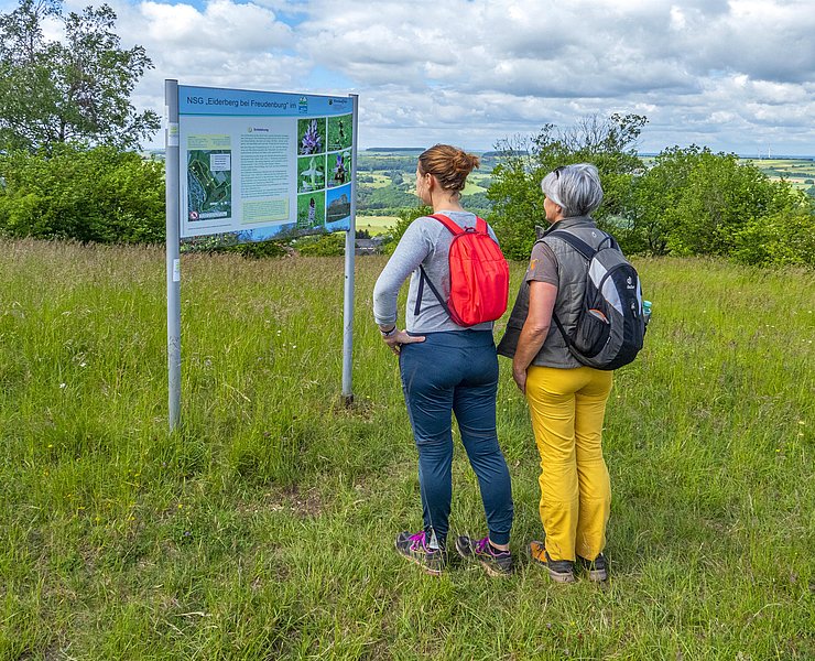 Naturschutzgebiet Eiderberg (2)