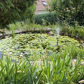 Haus Bergsonne (2)
