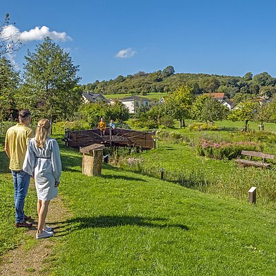 Foto: Lebensfluss Fisch (2)