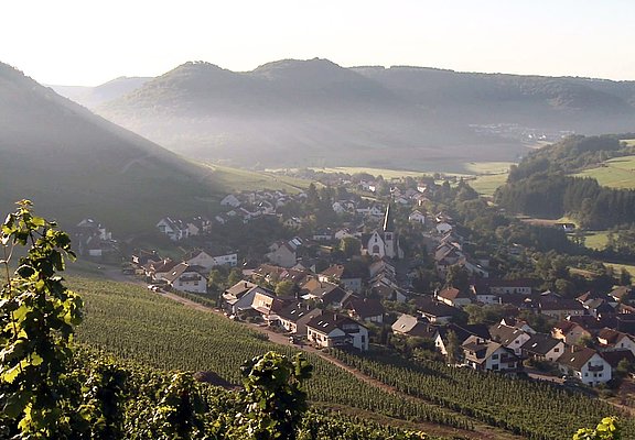 Blick auf Ockfen