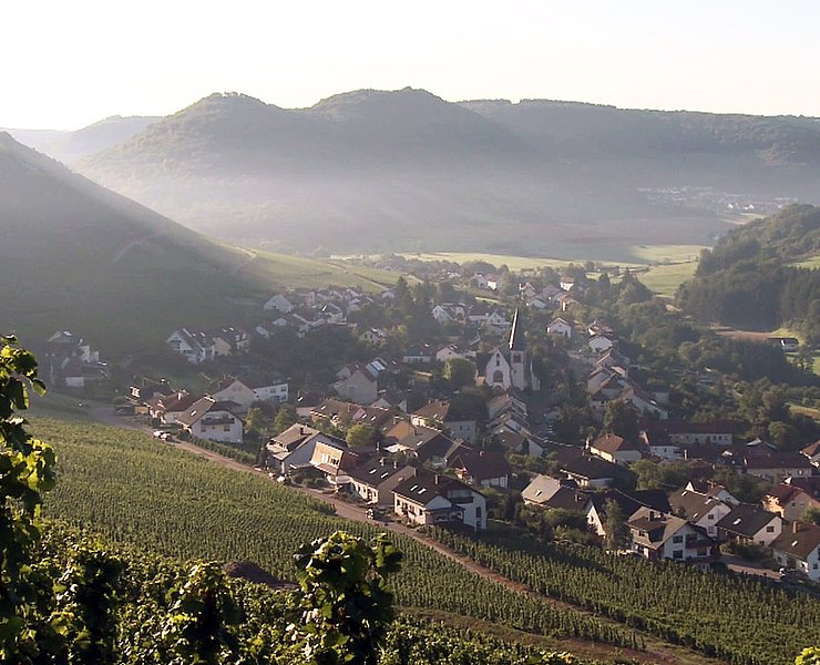 Blick auf Ockfen