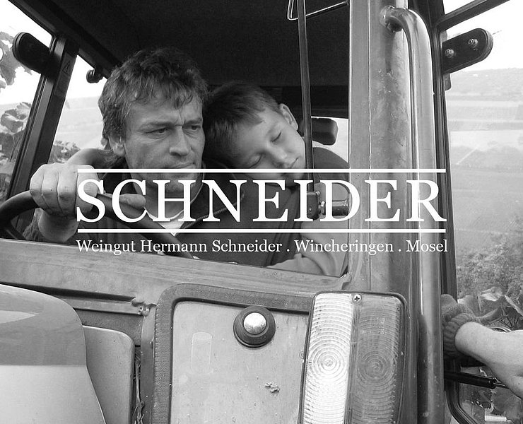 Weingut Schneider (1)
