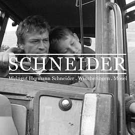 Weingut Schneider (1)