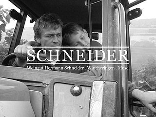 Weingut Schneider (1)