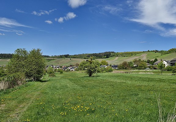 Konzer Tälchen