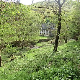 Ahringsmühle