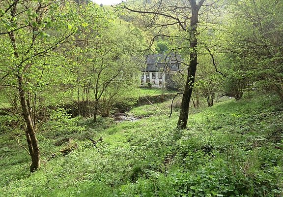 Ahringsmühle