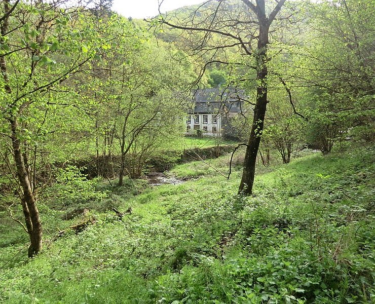 Ahringsmühle