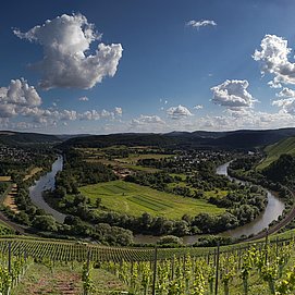 Wiltingen (4)