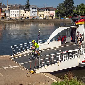 Moselradweg (3)