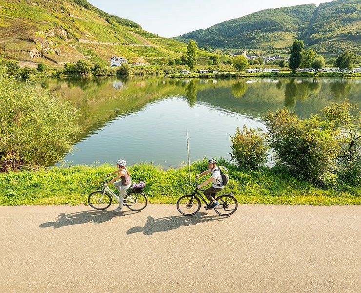 Natur pur auf dem Mosel-Radweg bei Senheim