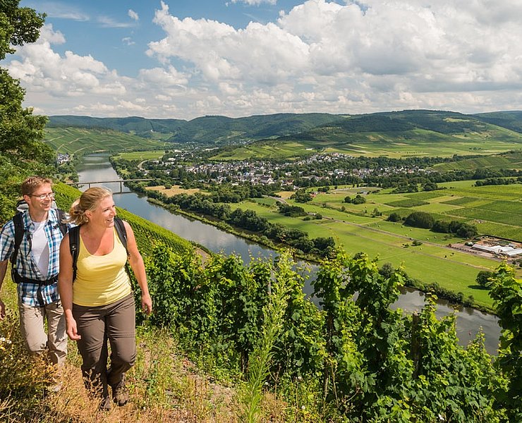 Moselsteig an der Mittelmosel