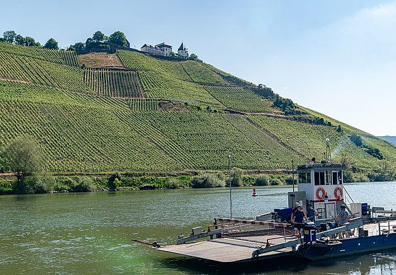 Fähre in Pünderich