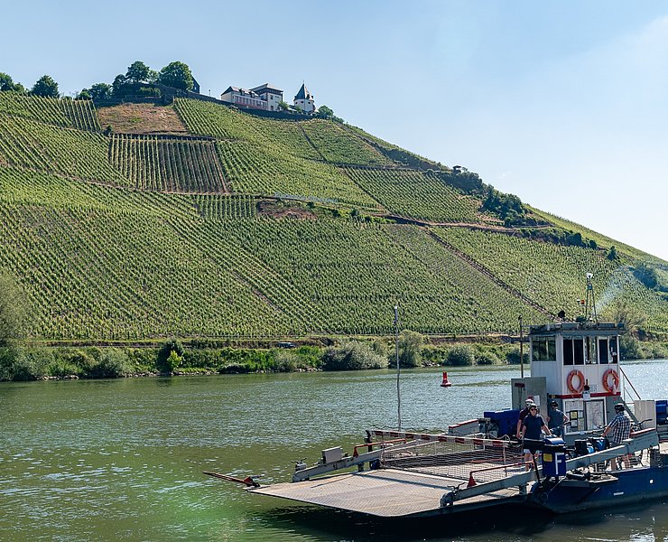 Fähre in Pünderich